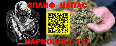 МДПВ Обь