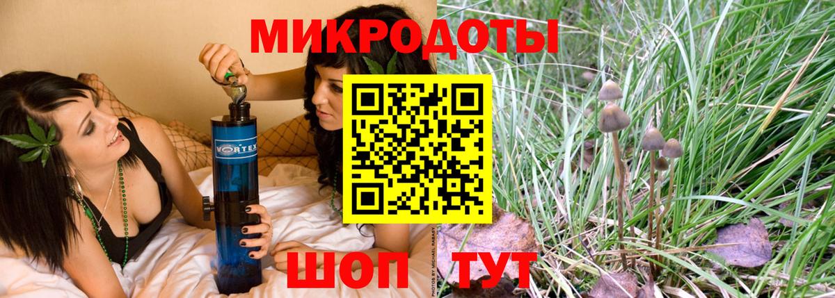 Истра  Галлюциногенные грибы Cubensis  Вход с VPN 