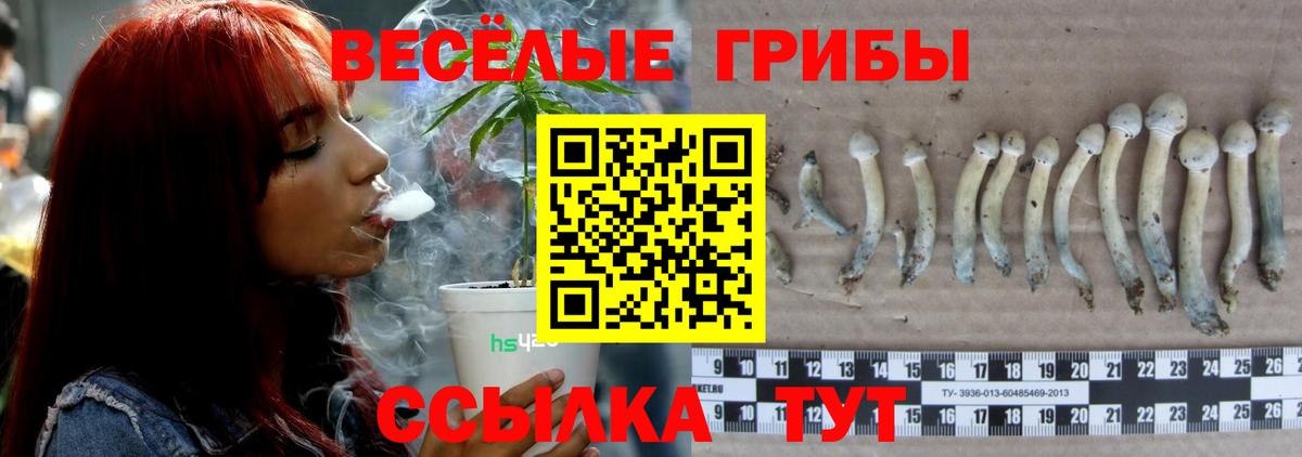 Галлюциногенные грибы ЛСД Истра